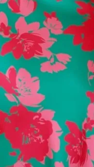 Billy J Dresses Women Elvira Maxi Dress 8211 GreenPink Floral