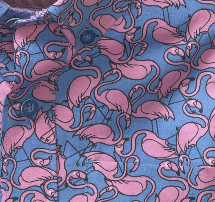 Johnston and Murphy Shirts Boys Boys ShortSleeve Printed Shirt Blue Flamingo Johnston and Murphy Shirts Boys Boys ShortSleeve Printed Shirt Blue Flamingo