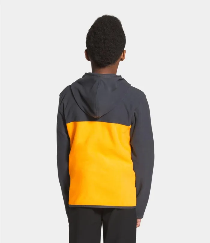 Kids Jackets and Vests The North Face Glacier Full Zip Hoodie Summit Gold