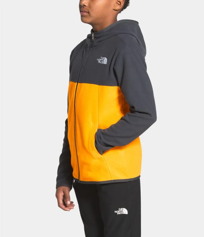 Kids Jackets and Vests The North Face Glacier Full Zip Hoodie Summit Gold