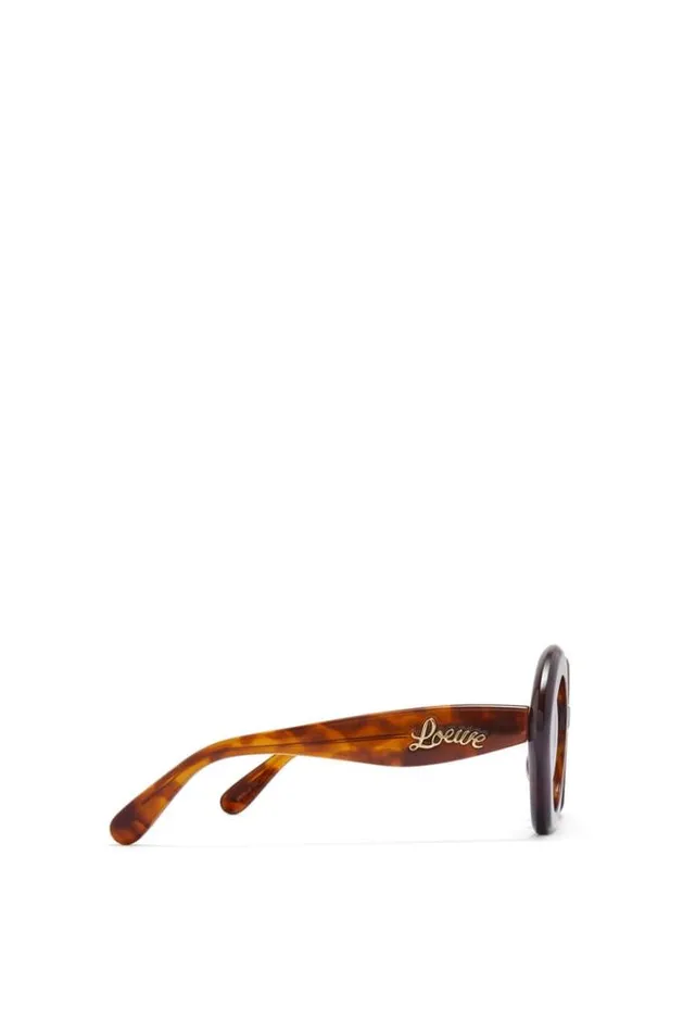 Loewe Bow Sunglasses In Acetate Havana Women Sunglasses