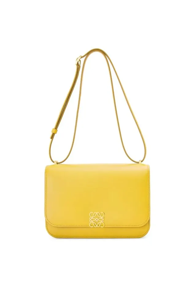 Loewe Goya Bag In Silk Calfskin Yellow Women Crossbody Bags