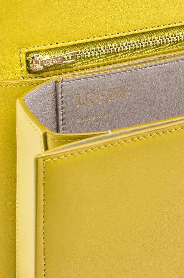 Loewe Goya Bag In Silk Calfskin Yellow Women Crossbody Bags