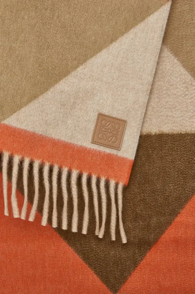Loewe Scarf In Cashmere Camelorange Women Scarves
