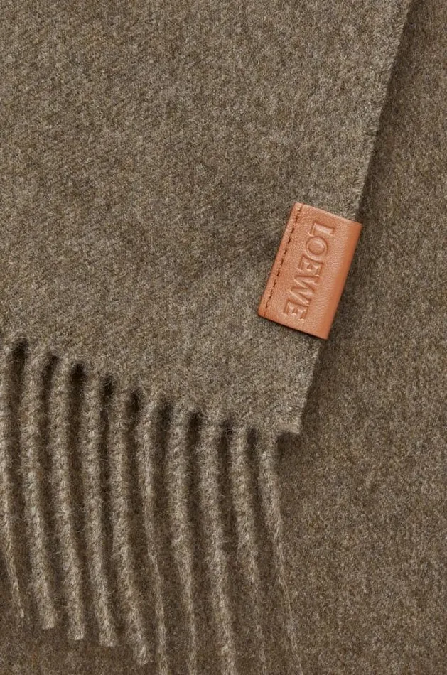 Loewe Scarf In Cashmere Green Women Scarves