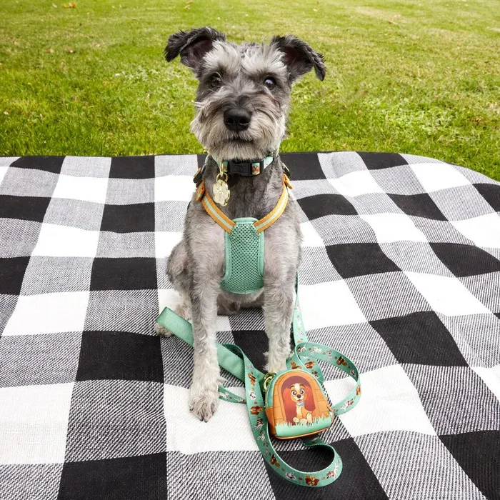 Loungefly Small Accessories Unisex I Heart Disney Dogs AllOver Print Mini Backpack Dog Harness Loungefly Small Accessories Unisex I Heart Disney Dogs AllOver Print Mini Backpack Dog Harness