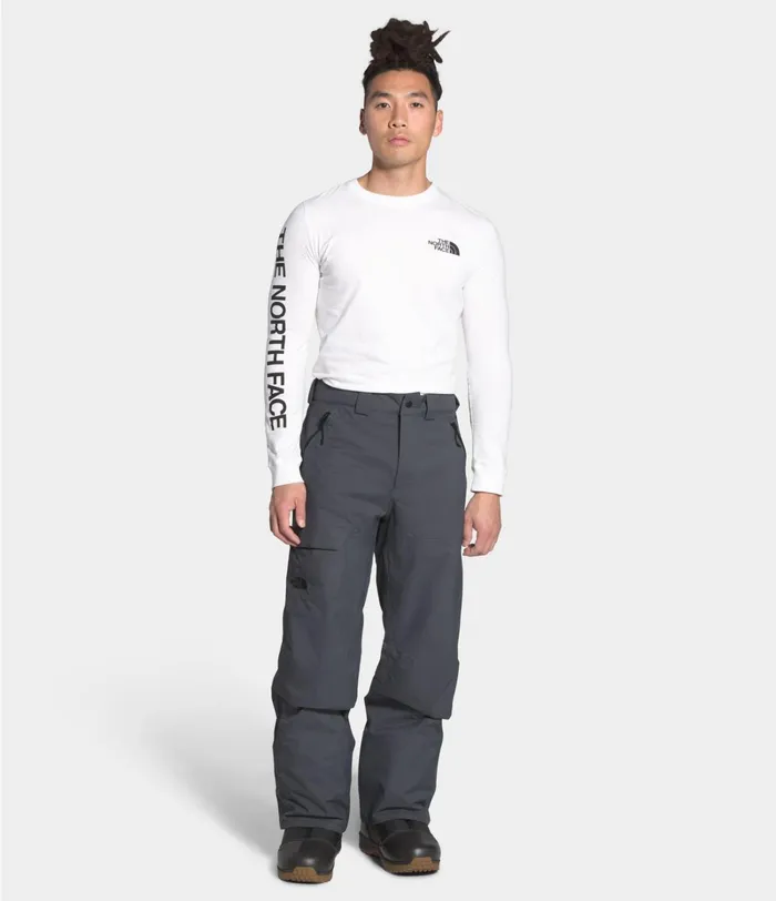 Mens Snowsports The North Face Seymore Pants Vanadis Grey