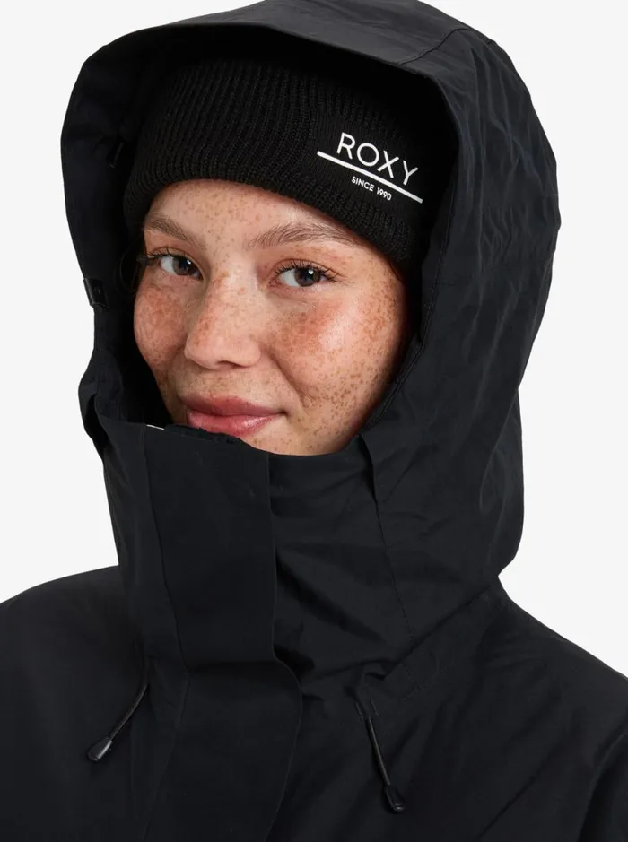 Roxy Glade GoreTex 8211 Snow Jacket Sea Pine Dreamy Picture Women Jackets and Coats