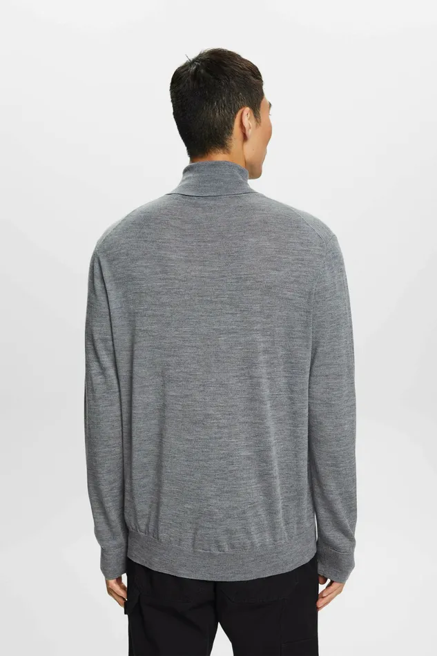 Sweaters Men Esprit Merino Wool Turtleneck Sweater Grey
