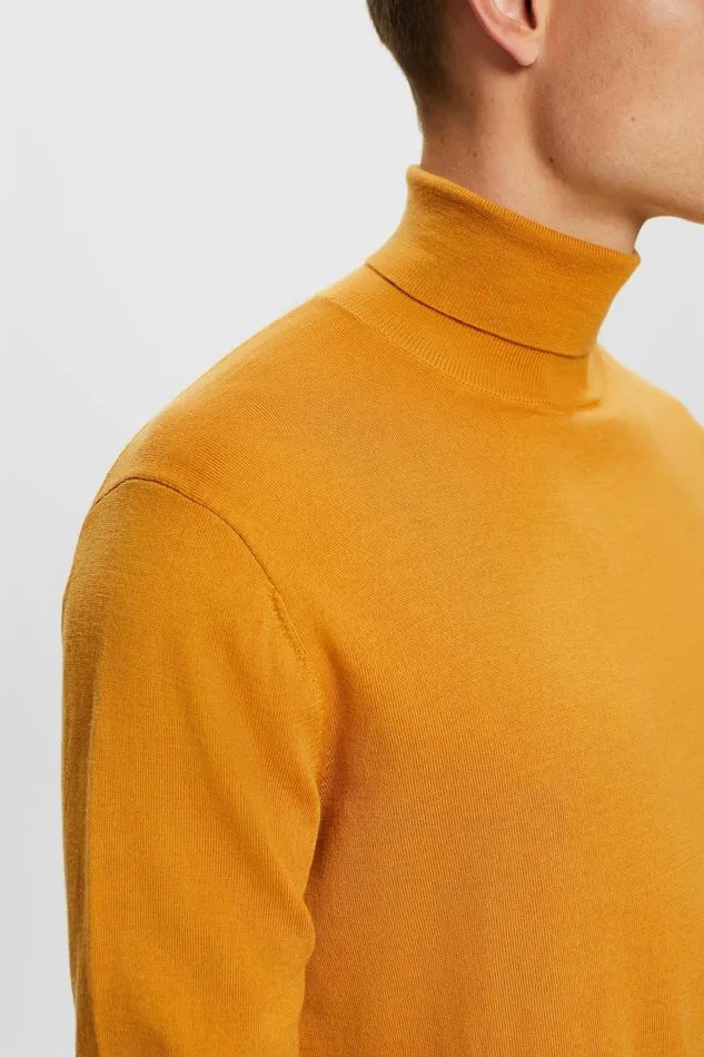 Sweaters Men Esprit Merino Wool Turtleneck Sweater Honey Yellow