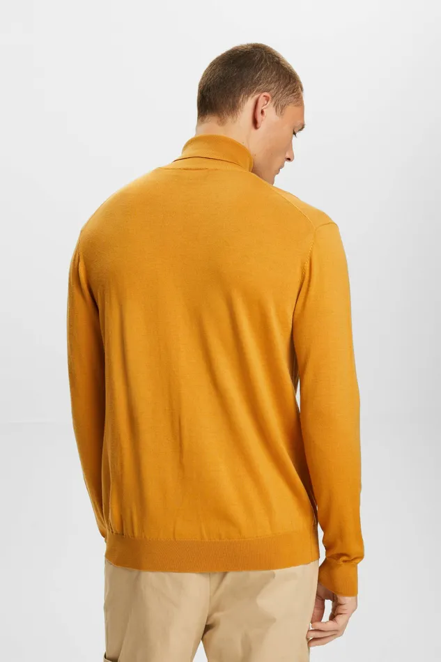 Sweaters Men Esprit Merino Wool Turtleneck Sweater Honey Yellow