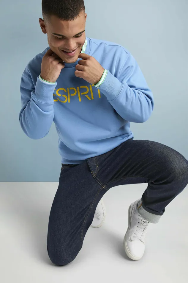 Sweatshirts Hoodies Men Esprit Cotton Fleece Logo Sweatshirt Light Blue Lavender
