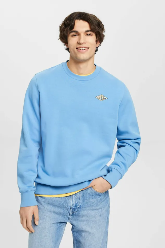 Sweatshirts Hoodies Men Esprit Logo Print Crewneck Sweatshirt Light Blue Lavender
