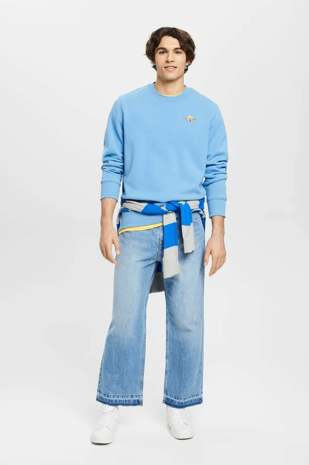 Sweatshirts Hoodies Men Esprit Logo Print Crewneck Sweatshirt Light Blue Lavender