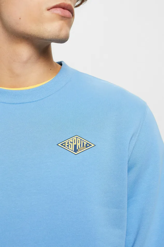 Sweatshirts Hoodies Men Esprit Logo Print Crewneck Sweatshirt Light Blue Lavender