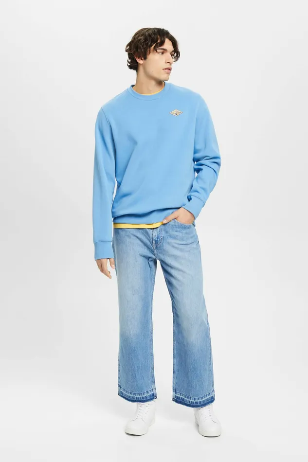 Sweatshirts Hoodies Men Esprit Logo Print Crewneck Sweatshirt Light Blue Lavender