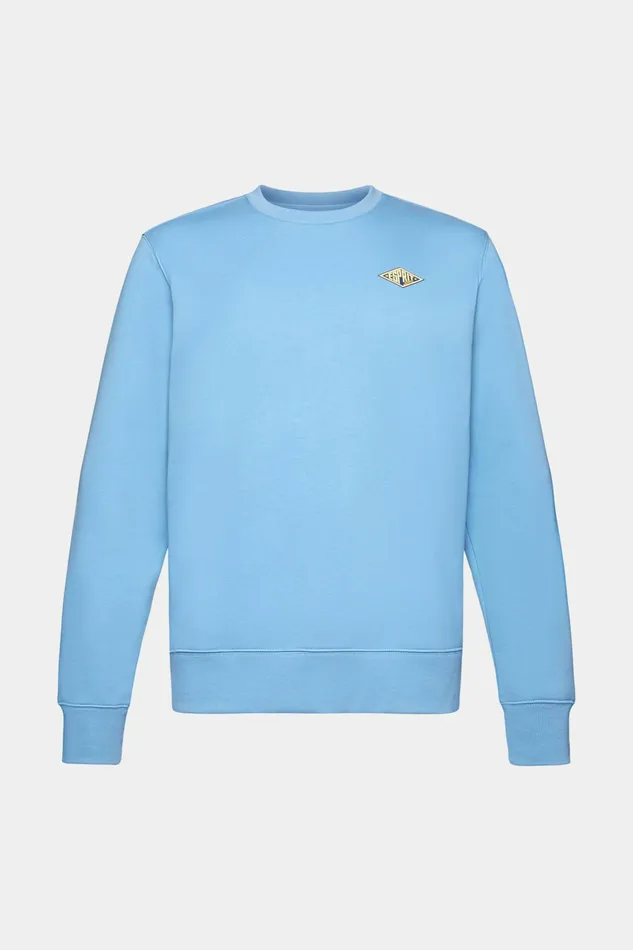 Sweatshirts Hoodies Men Esprit Logo Print Crewneck Sweatshirt Light Blue Lavender