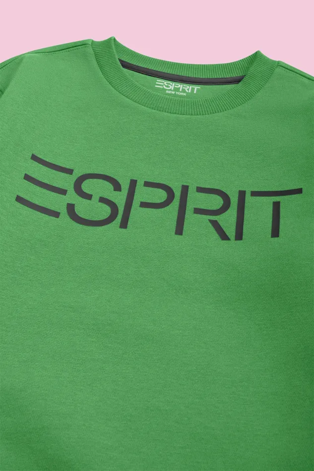 Sweatshirts Kids Esprit Logo Crewneck Sweatshirt Green