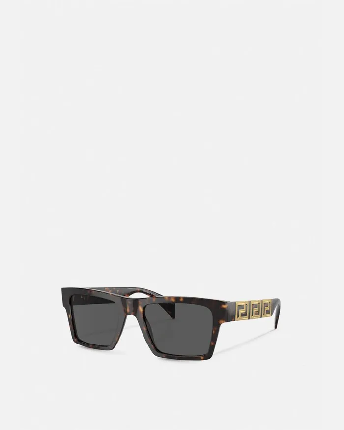 Versace Endless Greca Sunglasses Havana Men Sunglasses