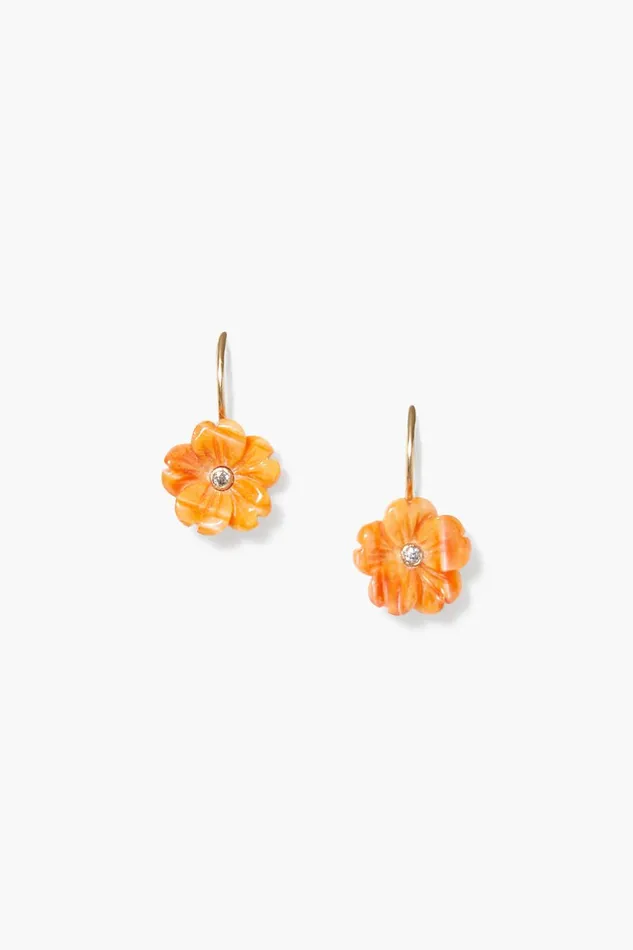 Women 14k Poppy Earrings Lion039s Paw Chan Luu Earrings