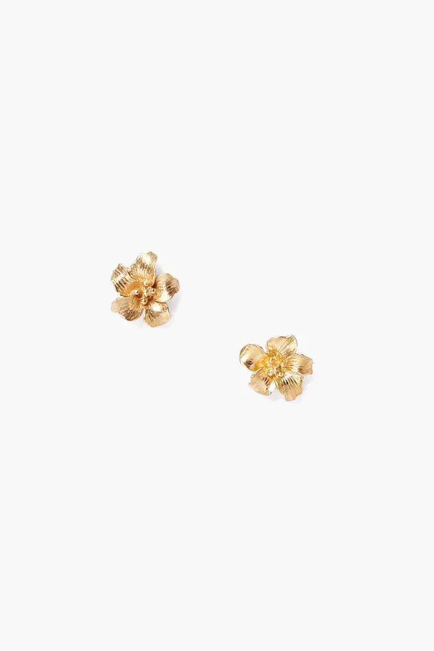 Women Gold Hibiscus Stud Earrings Chan Luu Earrings