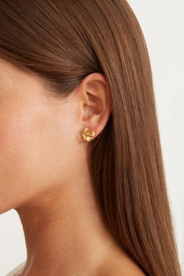 Women Gold Hibiscus Stud Earrings Chan Luu Earrings