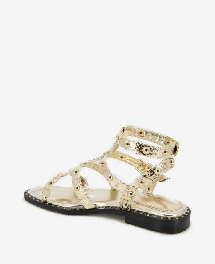 Women Sandals and Wedges Kenneth Cole Ruby Studded Gladiator Flat Sandal Gold Women Sandals and Wedges Kenneth Cole Ruby Studded Gladiator Flat Sandal Gold