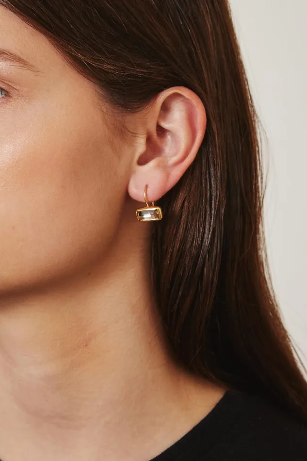 Women Silver Shade Crystal Tab Earrings Chan Luu Earrings